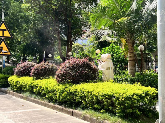 马蜂筑巢高峰期 盛隆专职消防一个月摘除42个扰民蜂巢