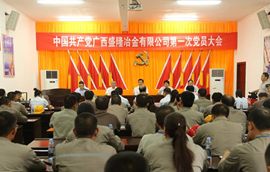 广西盛隆冶金有限公司第一次党员大会暨党委成立大会胜利召开