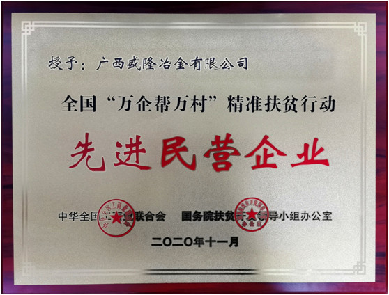 广西盛隆冶金有限公司荣获全国“万企帮万村”先进民企荣誉称号