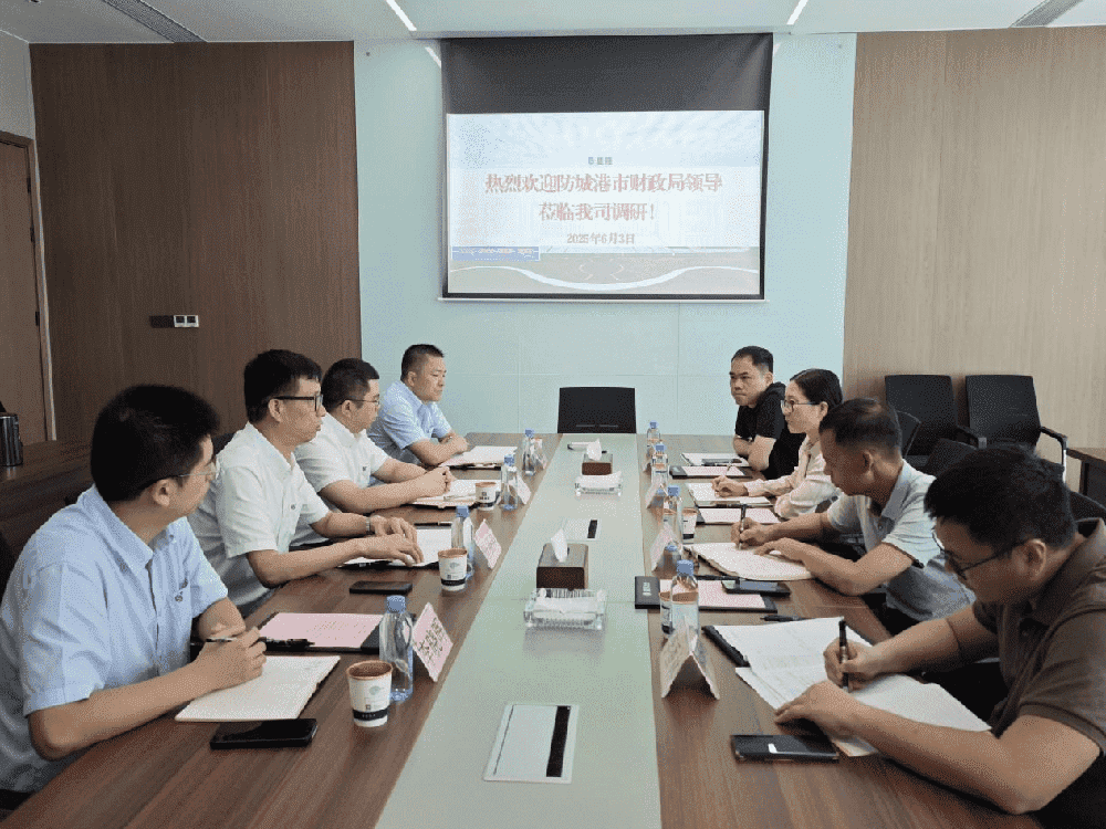 政企协同聚合力 精准施策促发展 ——防城港市财政局领导莅临广西盛隆冶金有限公司调研指导